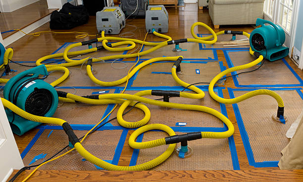 Professional Basement Flood Cleanup technician working in Horsham, PA